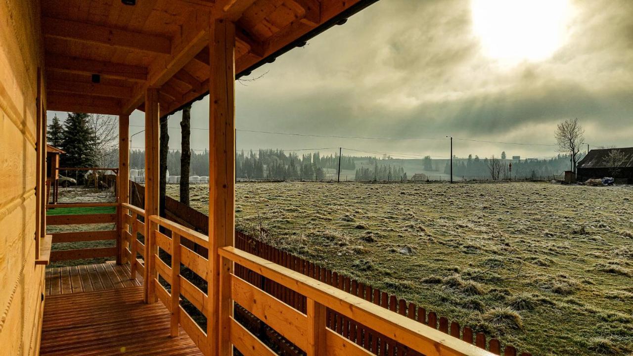 Villa Baranowka - Apartament #4 By Shortstaypoland Ratulow Bagian luar foto
